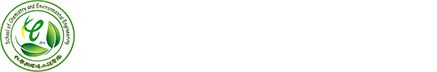 2026世界杯官方指定网站